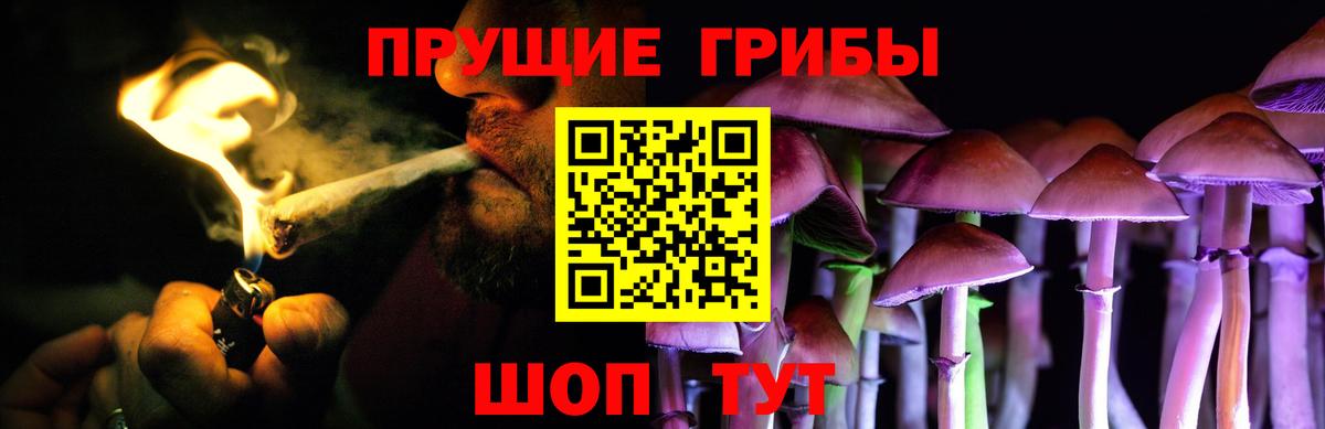 Кизляр  Псилоцибиновые грибы GOLDEN TEACHER  Галлюциногенные грибы Psilocybine cubensis  Вход с VPN 